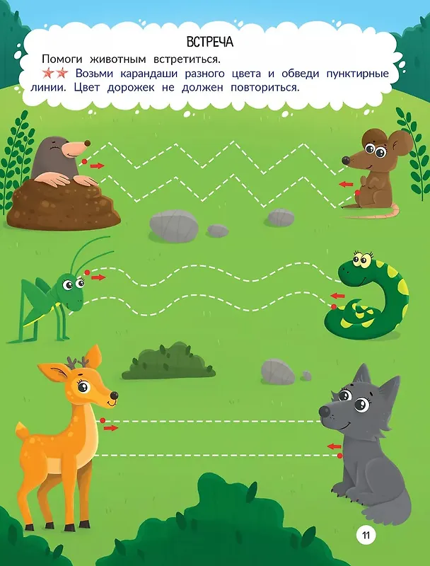 Книга Лес: книжка-раскраска (Анастасия Сунцова) — 3