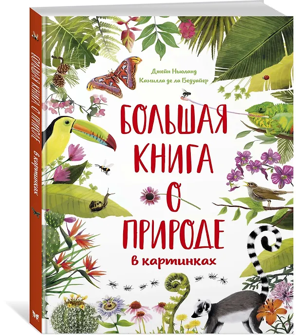 Книга Большая книга о природе в картинках (Камилла де ла Бедуайер) — 2