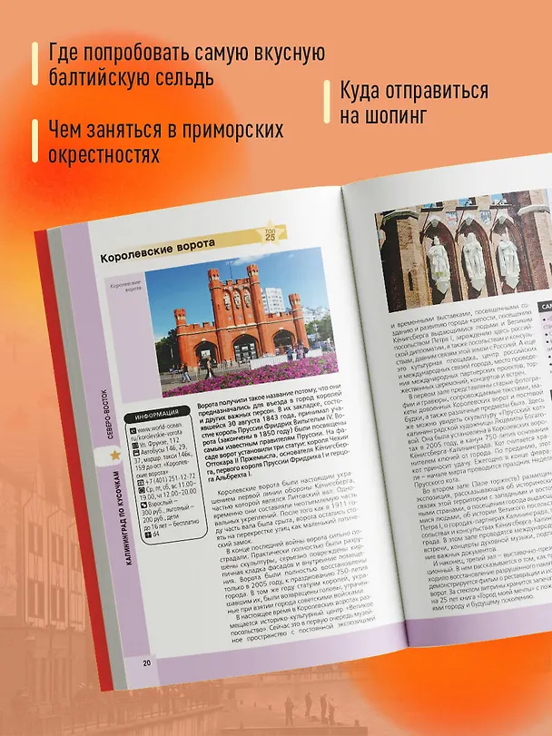 Книга Калининград и окрестности 6-е изд., испр. и доп. (Владимир Головин) — 6