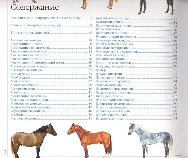 Книга Все породы Лошади и пони (Жабцев) () — 2