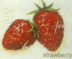 Картина Клубника (14248) (40х50) 2193198 — 1