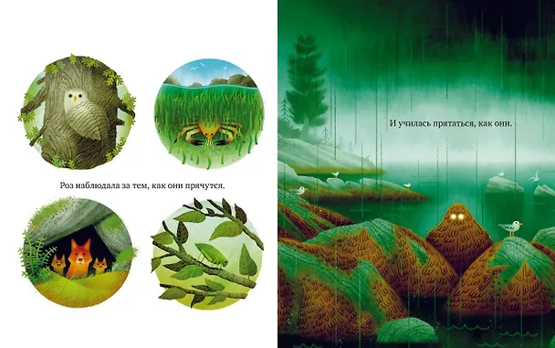 Книга Дикий робот на острове (Питер Браун) — 16