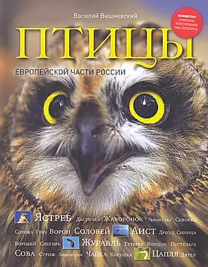 Птицы Европейской части России — 2281488 — 1