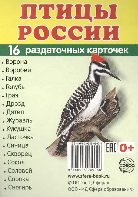 Книга Птицы России. 16 раздаточных карточек с текстом () — 2
