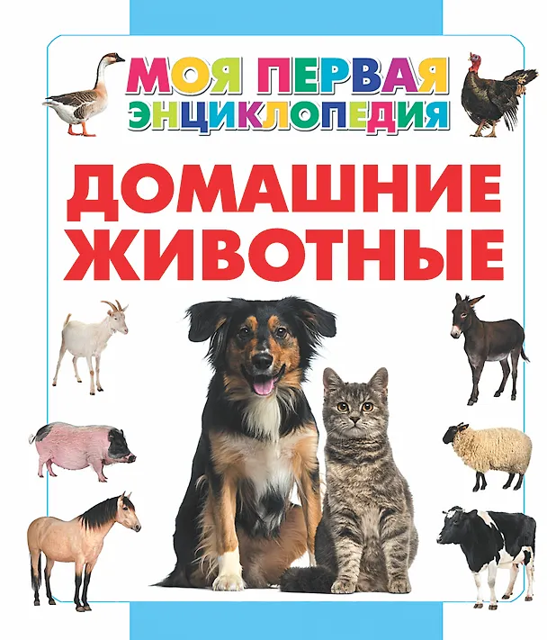 Книга Домашние животные (Анна Спектор) — 1