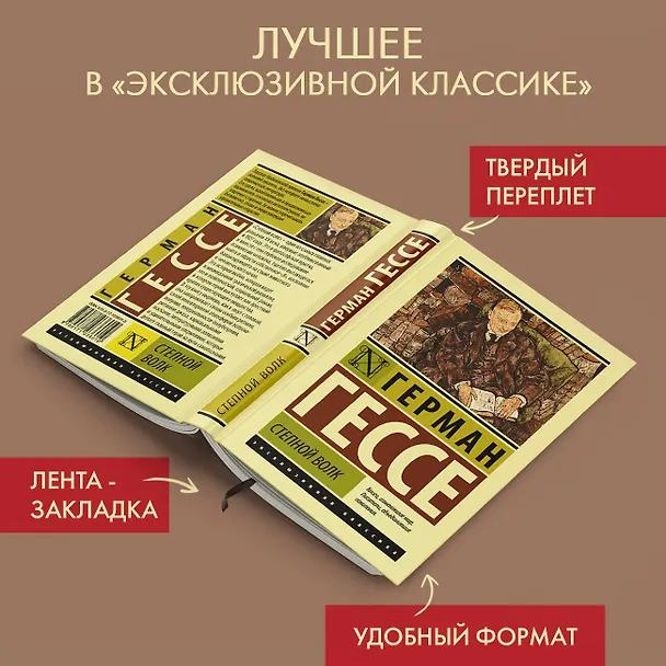 Книга Степной волк (Герман Гессе) — 5