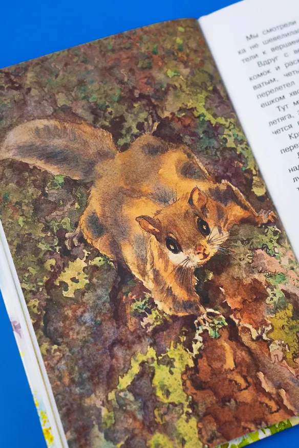 Книга Жеребенок (Юрий Коваль) — 14