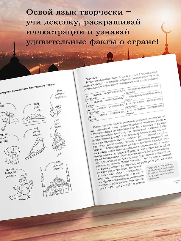Книга Турецкий язык: визуальный словарь-раскраска (Александра Зайцева, Лариса Клейн) — 6