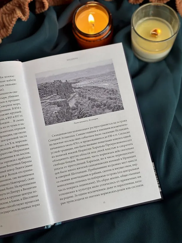 Книга Мифология викингов. От кошек Фрейи и яблок Идунн до мировой бездны и «Сумерек богов» (Елена Мельникова) — 14