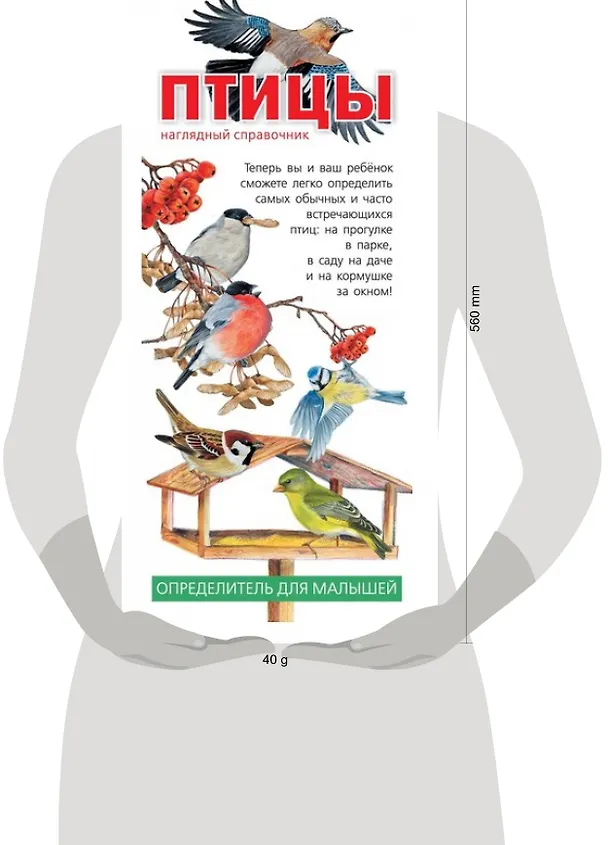Книга Птицы. Наглядный справочник () — 2
