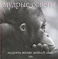 Мудрые советы