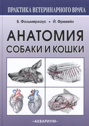 Анатомия собаки и кошки — 2416669 — 1