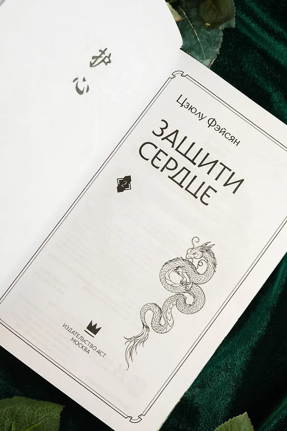 Книга Защити сердце. Книга 2 (Цзюлу Фэйсян) — 15