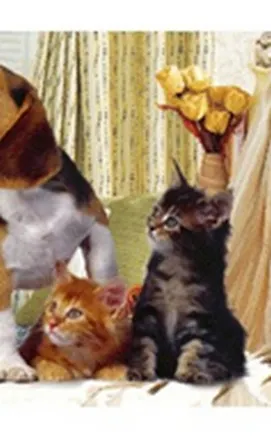 Закладка 3D 87 (Мир открытий) 2288128