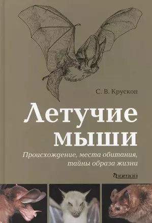 Летучие мыши: Происхождение, места обитания, тайны образа жизни. — 2413422 — 1