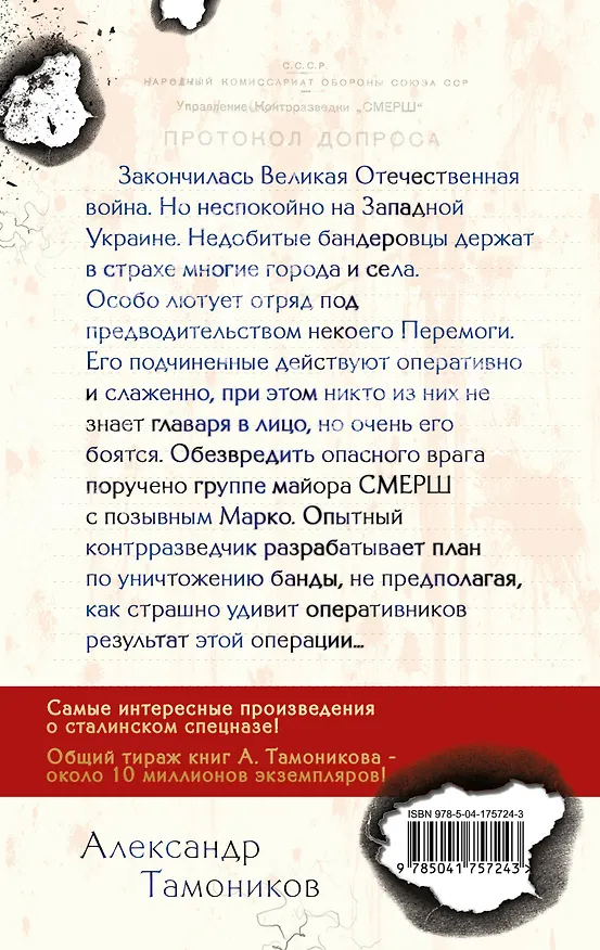 Книга Бой с невидимкой (Александр Тамоников) — 2