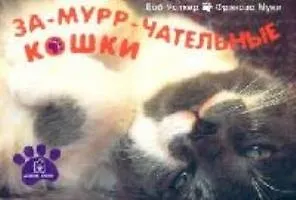 За-мурр-чательные кошки