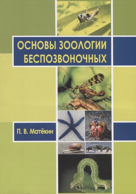 

Основы зоологии беспозвоночных. Учебное пособие