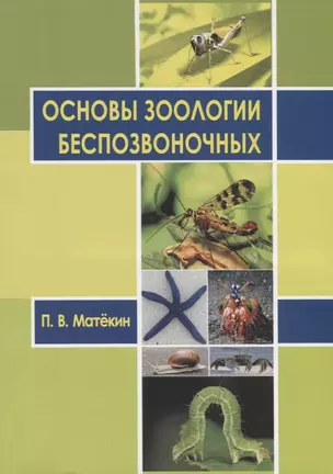 Основы зоологии беспозвоночных. Учебное пособие — 2751871 — 1