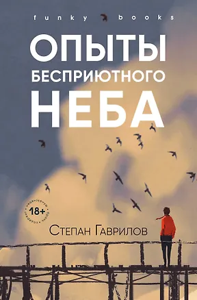 Книга Опыты бесприютного неба (Степан Гаврилов)