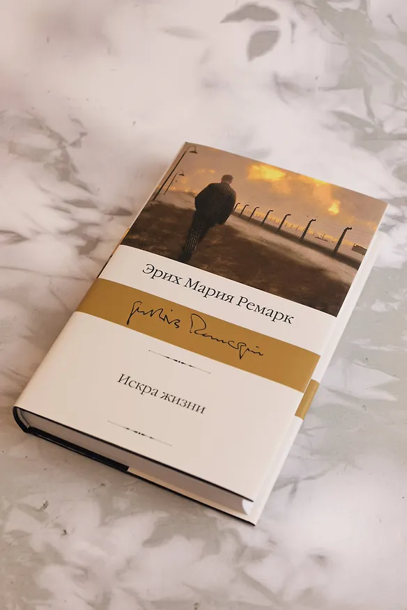Книга Искра жизни (Эрих Мария Ремарк) — 9