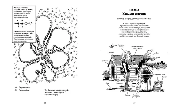 Книга Биология. Краткий курс в комиксах (Ларри Гоник, Дэйв Весснер) — 10
