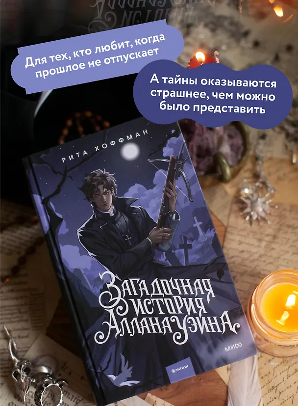 Книга Загадочная история Аллана Уэйна (Рита Хоффман) — 7