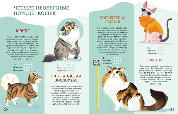 Книга Все-все-все домашние питомцы (Алтея Вилла) — 14
