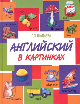 Английский в картинках — 2225424 — 1