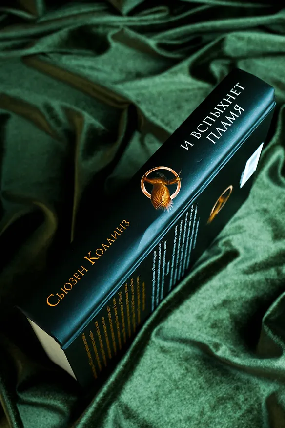 Книга И вспыхнет пламя (Сьюзен Коллинз) — 8