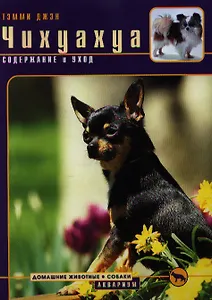 Чихуахуа Содержание и уход (мДЖ)(цв)