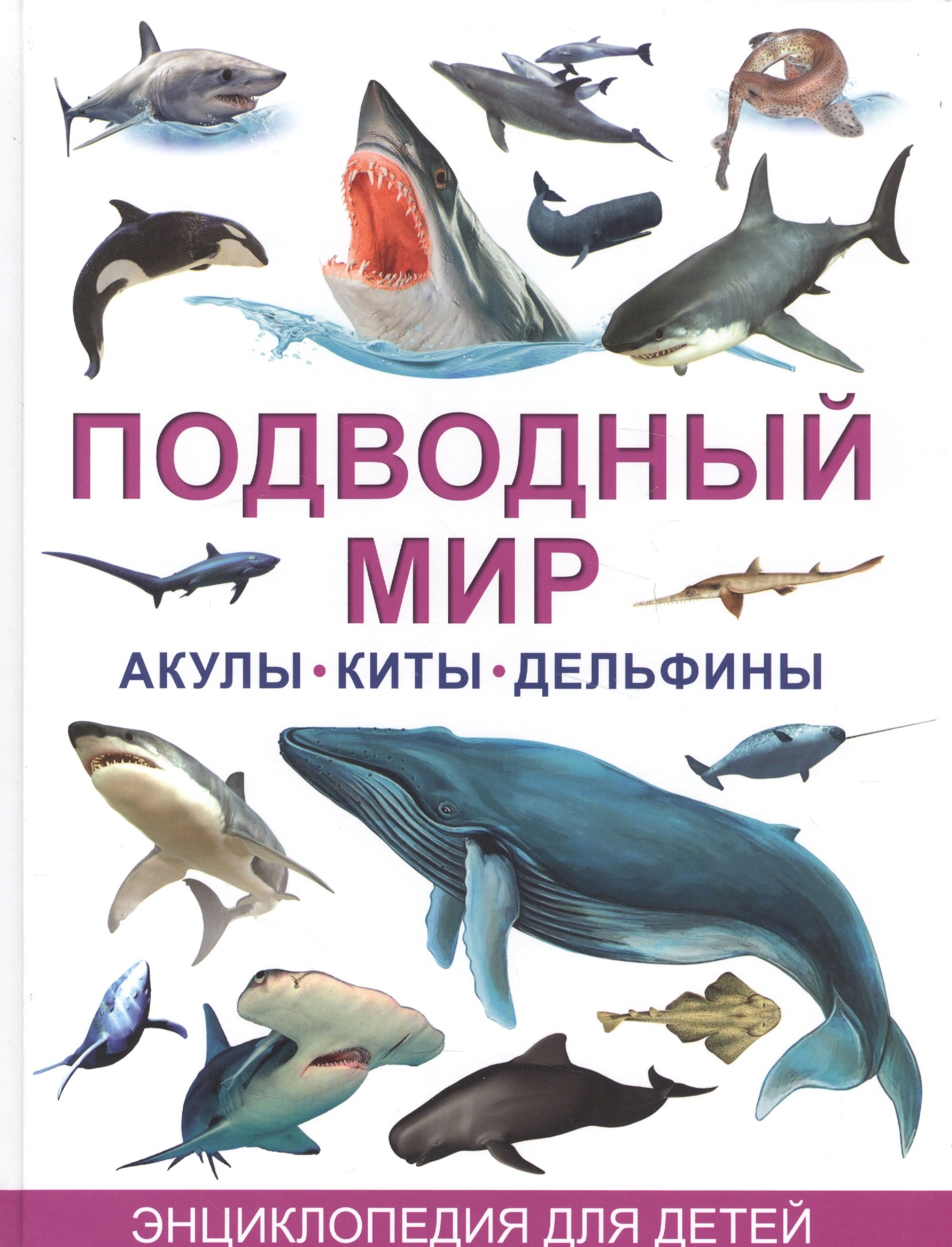

Акулы,киты и дельфины. Большая детская энциклопедия