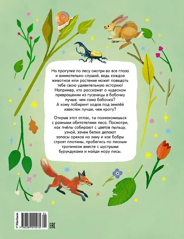 Книга Кто живёт в лесу? Иллюстрированный атлас животных (Алтея Вилла) — 2