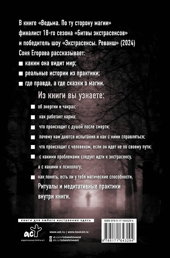 Книга Ведьма. По ту сторону магии (Соня Егорова) — 2