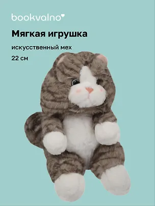 Мягкая игрушка Котик полосатый серый (22см) (14-0650-202505-T7) 3103119