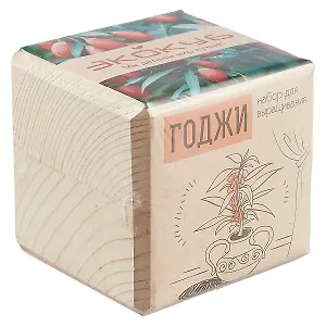 Набор для опытов и экспериментов Набор для выращивания Экокуб Годжи