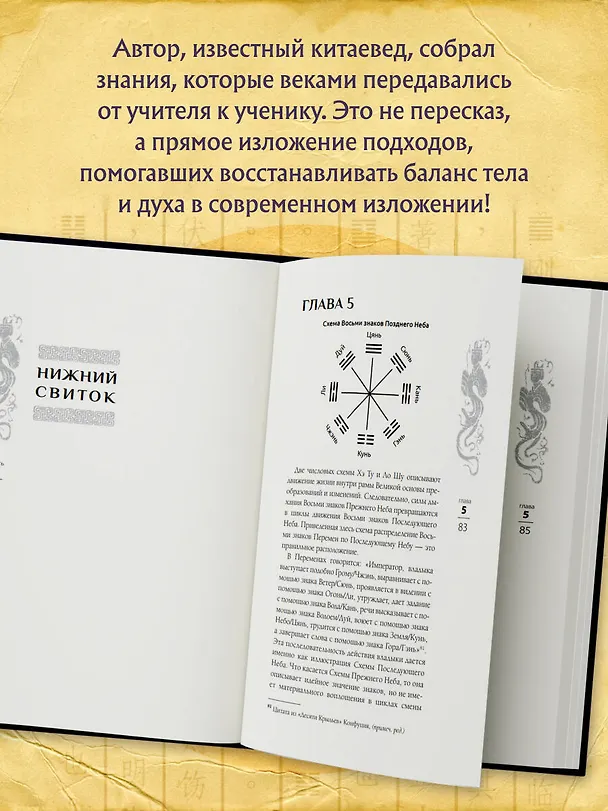 Книга Трактат Желтого императора. Китайские врачи о Книге Перемен (Бронислав Виногродский) — 7