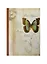 Тетрадь в линейку Феникс+, "Бабочка", 48 листов — 231923 — 2