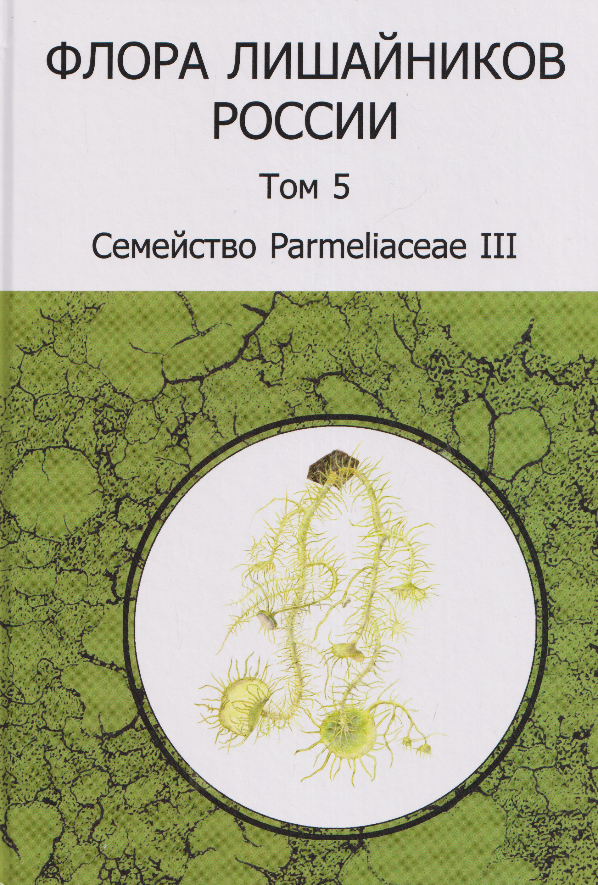 Обложка книги «Флора лишайников России. Том 5. Семейство Parmeliaceae III»