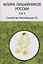 Флора лишайников России. Том 5. Семейство Parmeliaceae III — 3184290 — 1