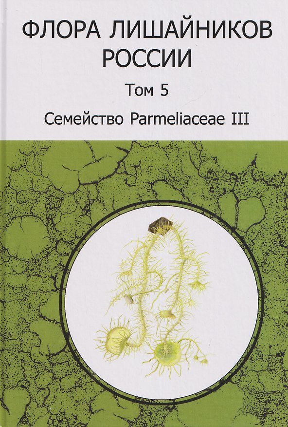 Книга Флора лишайников России. Том 5. Семейство Parmeliaceae III (Дмитрий Гимельбрант, Михаил Андреев) — 1