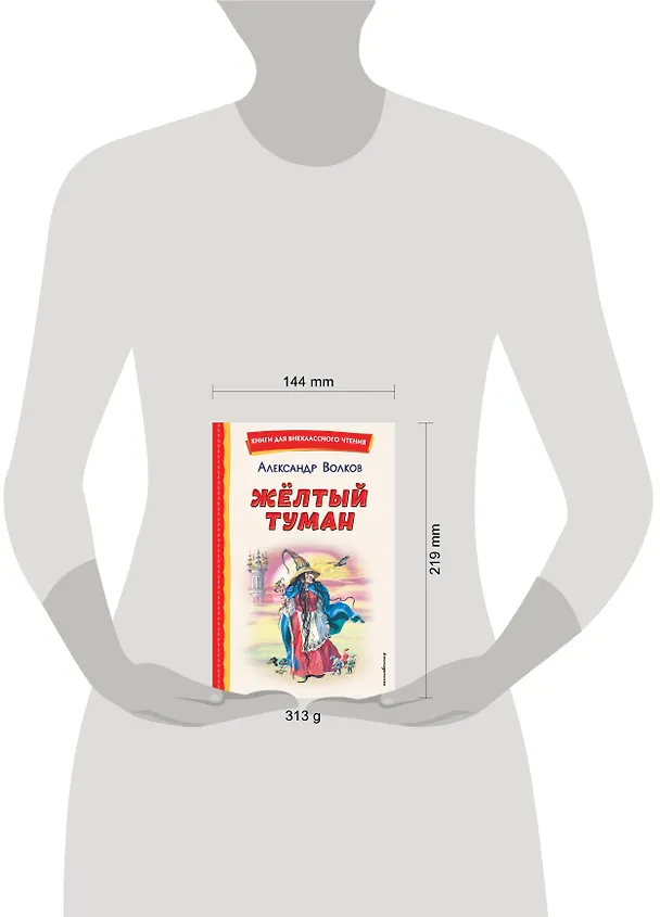 Книга Жёлтый Туман (ил. В. Канивца) (Александр Волков) — 17
