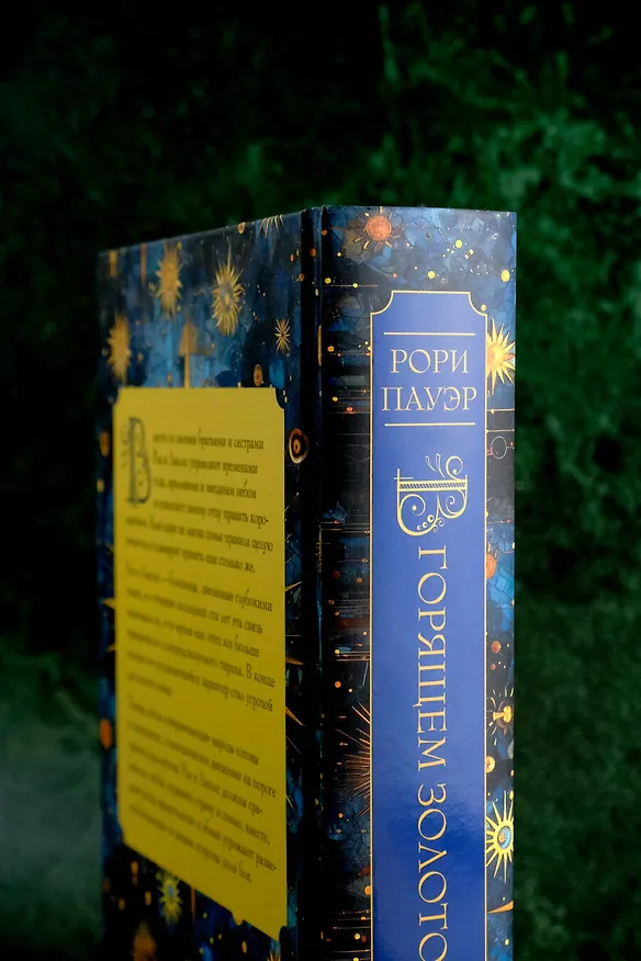 Книга В горящем золотом саду (Рори Пауэр) — 10