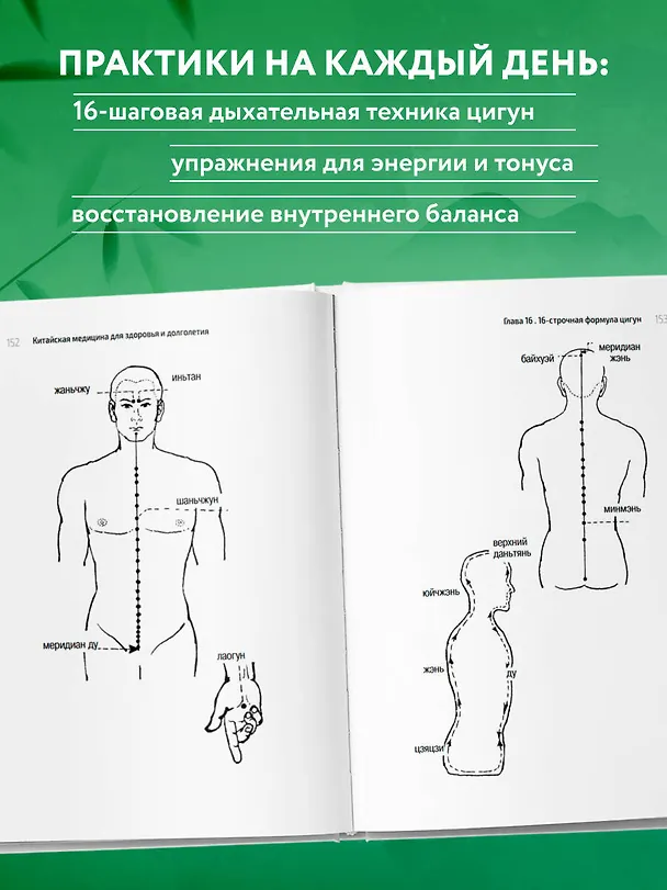 Книга Традиционная китайская медицина. Современное руководство по древнему искусству «войны» с болезнями (Юнь Лун) — 8