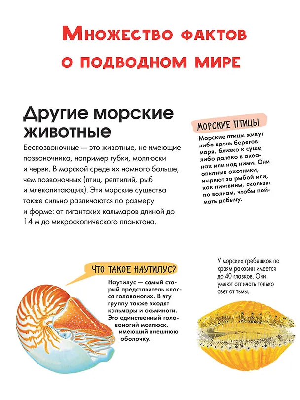 Книга Подводный мир (Энн МакРей) — 5