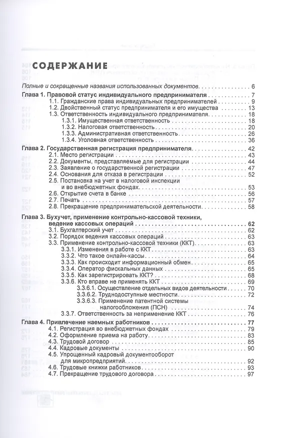 Книга Индивидуальный предприниматель (Елена Карсетская) — 2