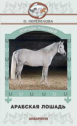 Арабская лошадь — 2206999 — 1