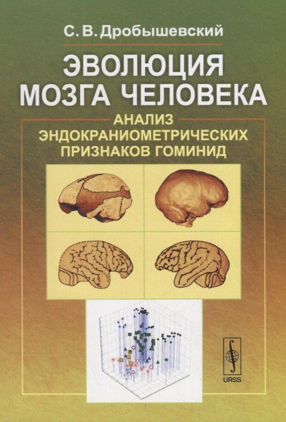 

Эволюция мозга человека: Анализ эндокраниометрических признаков гоминид