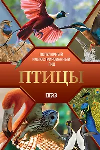 Птицы. Иллюстрированный гид