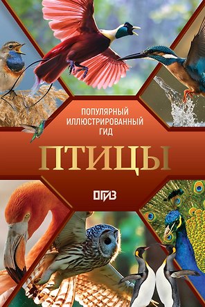 Птицы. Иллюстрированный гид